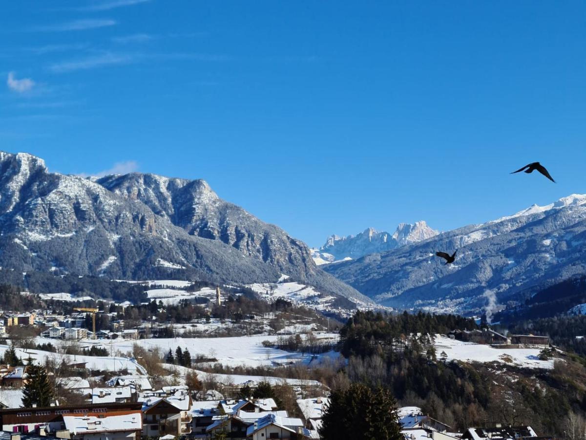 Апартаменты Terrazza Sulle Dolomiti Кастелло-ди-Фьемме Экстерьер фото